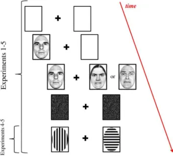 Figure 1. Stimuli and procedure used in Experiments 1–5.