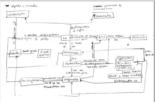 Fig. 2. 2º Mapa conceptual elaborado por Alicia para la estructura y el funcionamiento celular