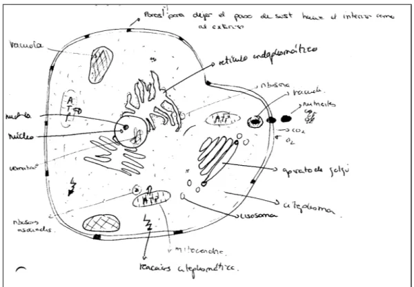 Fig. 3. Dibujo elaborado por Alicia para reflejar la estructura y el funcionamiento de la célula