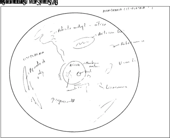 Fig. 7. Dibujo elaborado por Alberto en el cuestionario inicial (octubre, 1996). 