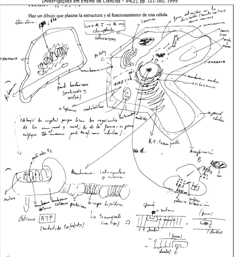 Fig. 11. Dibujo elaborado por Alberto para represent ar la estructura y el funcionamiento  celular (mayo, 1997)