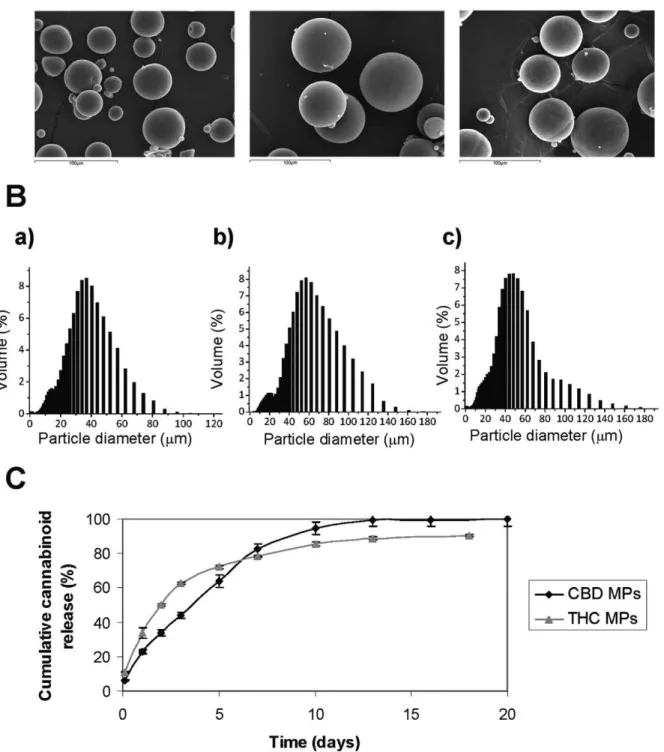 Figure 1. Characterization of cannabinoide-loaded microparticles. (A) Scanning electron microscopy (500X) of blank, CBD- and THC-loaded PCL MPs