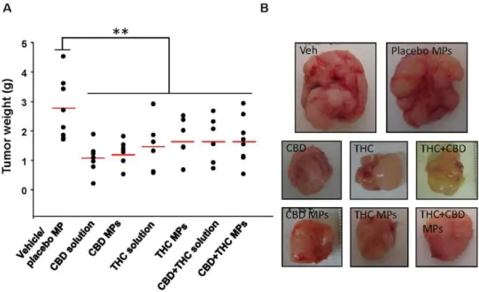 Table 2. Amount of THC or CBD administered to mice and released at the end of the treatment from cannabinoid-loaded microparticles.