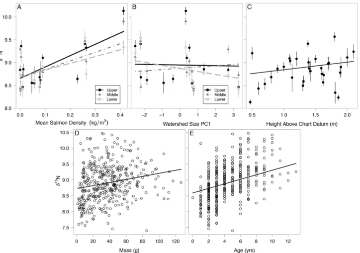 Fig 3. Correlates of soft-shell clam muscle tissue δ 15 N. (A) Pink salmon density at each clam bed zone, (B) Watershed size PC1 at each clam bed zone, (C) Height above datum depth, (D) Clam mass, and (E) Clam age