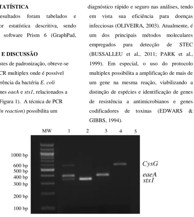 Figura 1 -  Diagnóstico por PCR  multiplex da ocorrência de  E.  coli  portadora dos genes eaeA e  stx1,  relacionados  a  patogenicidade