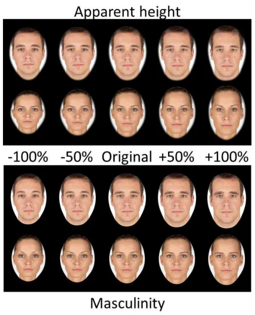 Figure  1.  Examples  of  apparent  height  (top  row)  and  masculinity  (bottom  row)  transforms  for male and female faces