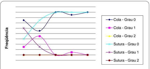 Figura 1: Gráfico demonstrando o grau e a frequência de inflamação durante os dias de  experimento