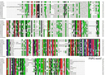 Fig 3. A multiple alignment of the amino acid sequences of three Ct UGT from C . tinctorius and other plant UGTs