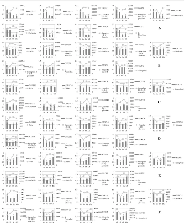 Fig 6. Expression pattern of three UGT genes and relative content changes of flavonoid compounds in C 