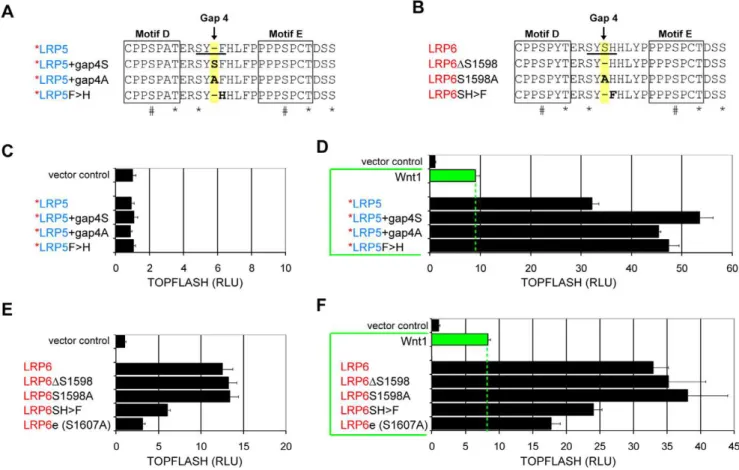 Figure 6. The context and spacing of the gap4 region together reciprocally regulate LRP5 and LRP6 signaling activities