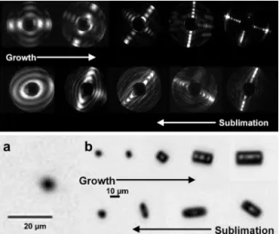 Figure 3. Evolution of SID-3 scattering patterns (upper panel) and PHIPS-HALO micrographs (series b in the lower panel) of  colum-nar ice particles collected during growth and sublimation periods in the − 40 ◦ C temperature range