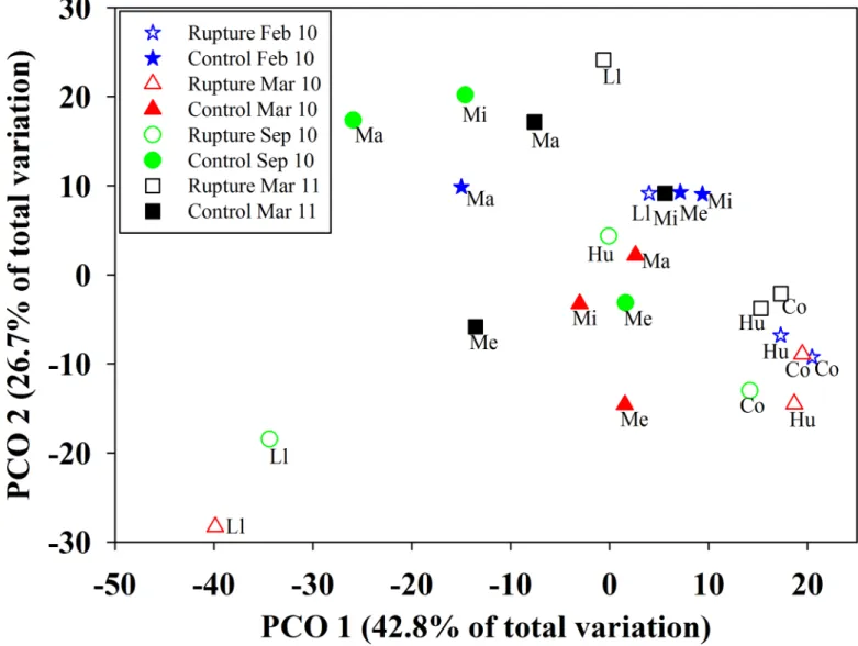 Fig 6. Principal Coordinates Analysis (PCoA) of the spatiotemporal patterns of community structure of six intertidal sandy shores.