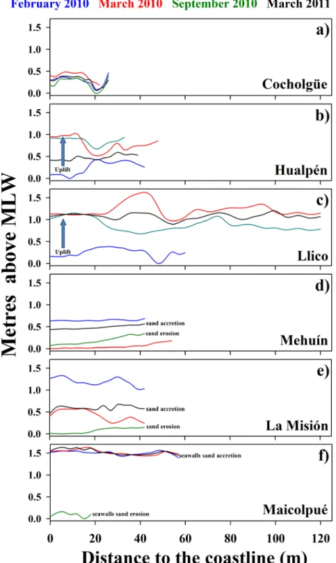 Fig 2. Profile of beaches in the earthquake rupture and control areas. For each site, each line represents the profile of the sampling beach at each sampling time