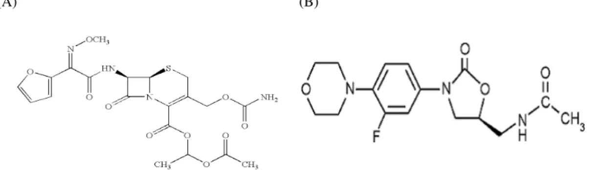 Fig. 1 (A) is Structure of Cefuroxime Axetil and (B) is structure of Linezolid 