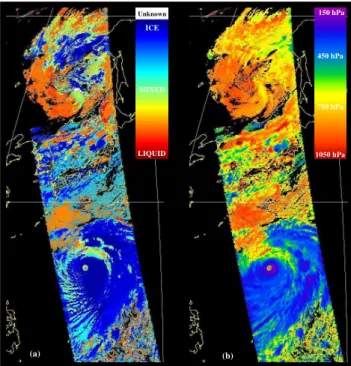 Fig. 10. (a) Results of the final cloud phase index retrieved from a combination of POLDER and MODIS data