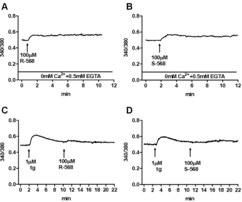 Figure 3. Effects of R-568 or S-568 on HUVECs [Ca 2+ ] i without extra or intracellular Ca 2+ 