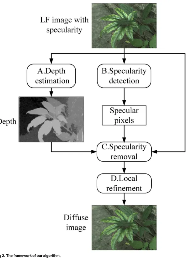 Fig 2. The framework of our algorithm.