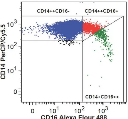 Fig 1. Flow cytometric analysis of monocyte subpopulations. Representative example of monocyte subsets depicted as classical CD14++CD16- monocytes (blue color), intermediate CD14++CD16 + monocytes (red color), and nonclassical CD14+CD16++ monocytes (green 