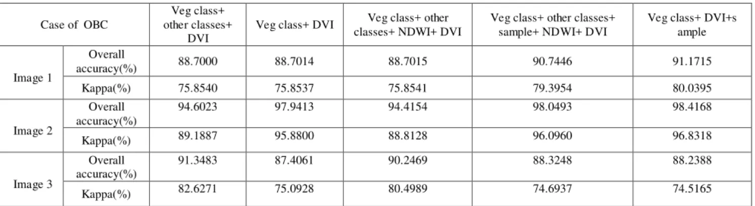 Table 3. Results of different cases of object oriented classification for test images  