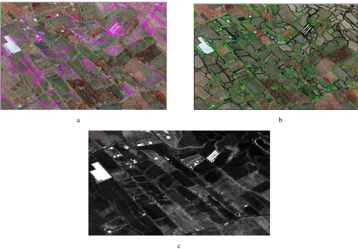 Fig 4. Results for image 3 (NIR band instead of Red band), a) optimum OBC (green edges are boundaries of vegetation (merged),  pink edges are boundaries of soil), b) ground truth image, c) pixel based classification 