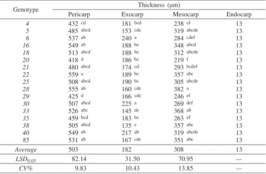 Tab. 1 — Anatomical characteristics of pericarp in Q. robur genotypes