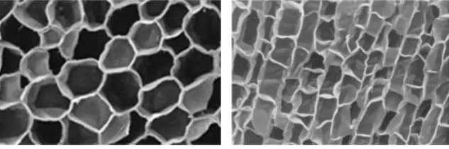 Figure 1 - a) cork tangential section - honeycomb[1]; b) cork radial section – brick-like composition[2].