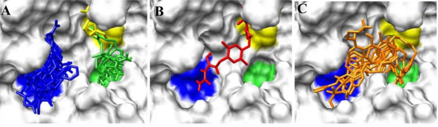 Figure 3. A Maybridge ligand that simultaneously occupies the P1, P2 and P4 sites in PC2