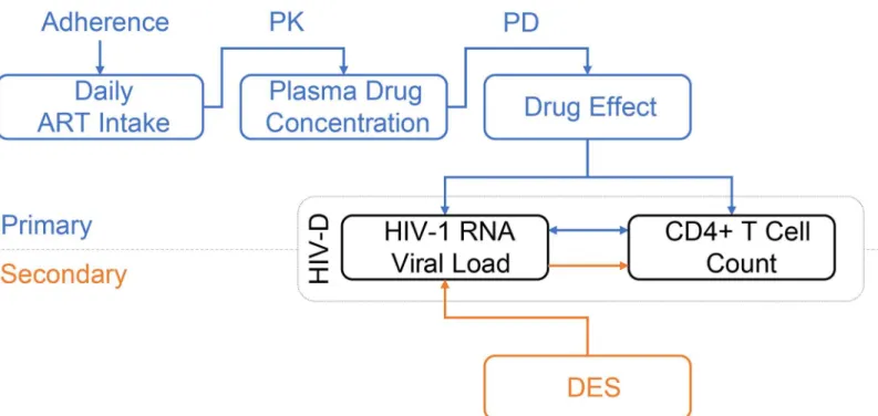 Fig 1. Diagram of the within-host model for disease progression of HIV-1 infected individuals