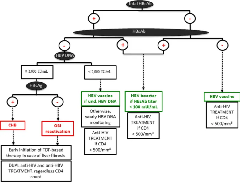 Fig 7. Suggested diagnostic strategy for HBV screening in resource-limited settings.