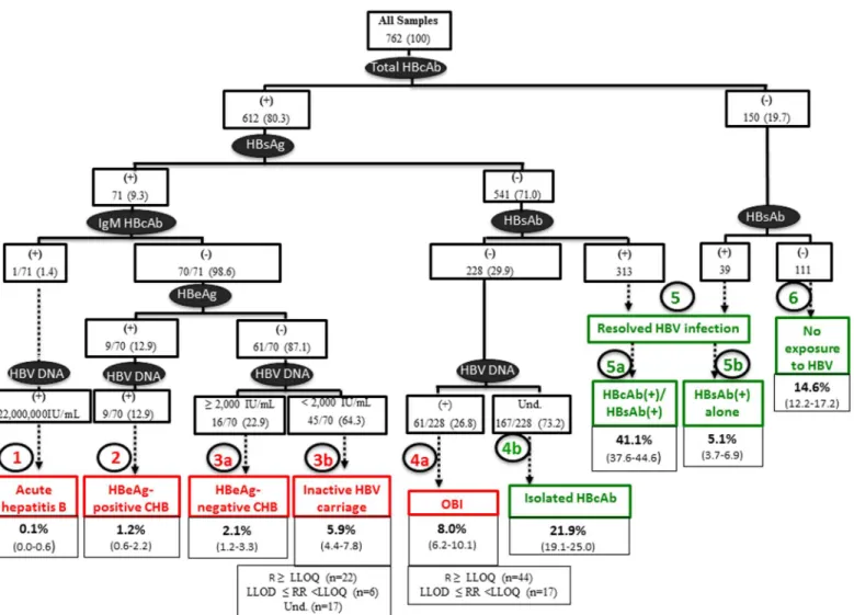 Fig 1. HBV patterns defined by serological results and serum HBV DNA levels. Infectious patterns are indicated in red boxes