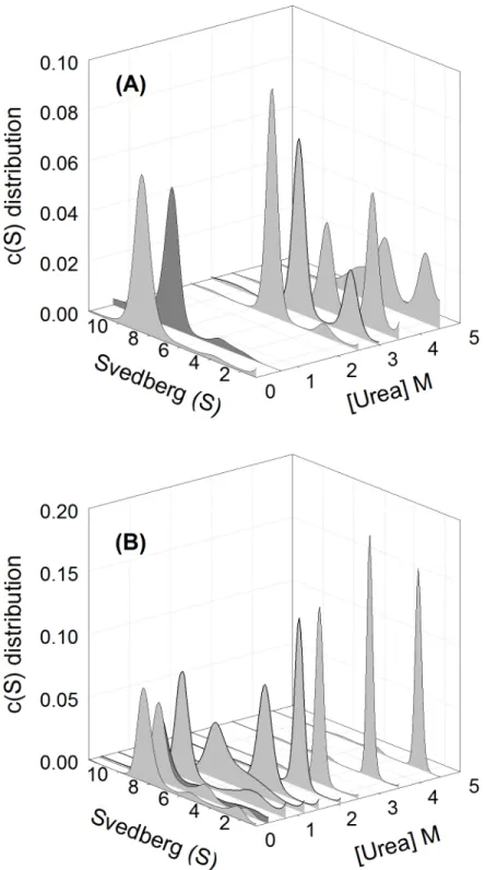 Fig 3. Sedimentation velocity analysis. The continuous sedimentation coefficient distribution of (A) wild- wild-type and (B) K315A mutant protein at different urea concentration were shown