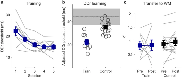 Fig 7. DDr training and transfer to WM. Plotted are individual (grey lines or circles) and group mean (filled squares) performance of the trained participants (N = 9) and controls (N = 15) (a) during training, (b) after training on DDr, adjusted for differ