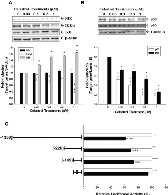 Figure 6. Celastrol represses PC-3 interleukin-6 expression through NF- k B signal pathway