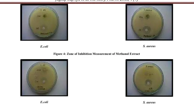 Figure 4: Zone of Inhibition Measurement of Methanol Extract 