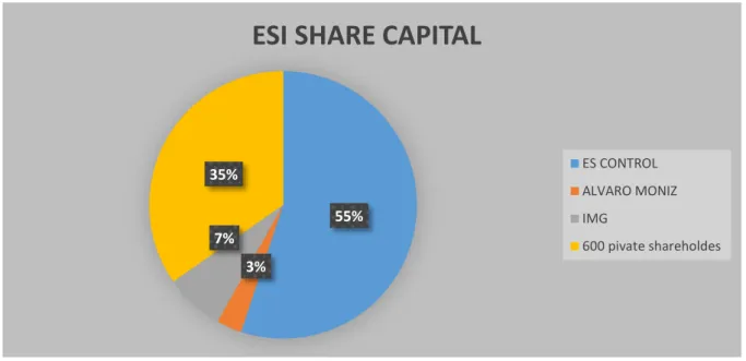 Figure 3: ESI share Capital, Source: (Fernandes, 2014) 