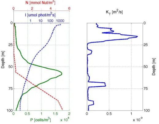 Fig. 5. Measurement data at (13.2 ◦ W, 40.5 ◦ N) on 23 July 2009. Left panel: phytoplankton concentration (green), nutrient density (sum of phosphate, nitrogen dioxide, and nitrate; red dashed), and light intensity (blue dashed)