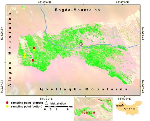 Figure 1. Satellite map of the Tohsun oasis (Landsat ETM + , 13 August 2010; “gamma correc- correc-tion” was appield to enhance the contrast of this Landsat image)