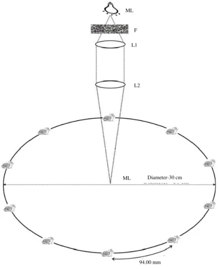 Fig. 2: Design of photoresponse experiment, ML: Monochromatic light was produced with the help of spectrophotometer behind the interference color filter by xenon lamp, F: Interference color filter, L1 and L2: Lenses