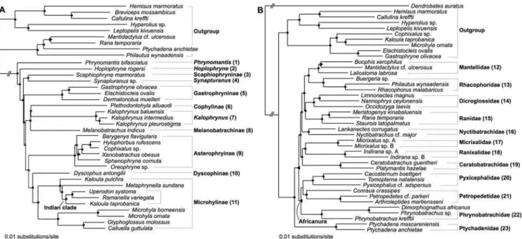 Table 1. Bayesian test for alternative hypotheses (and their associated biogeographic implication) of relationships in Microhylidae and Natatanura.