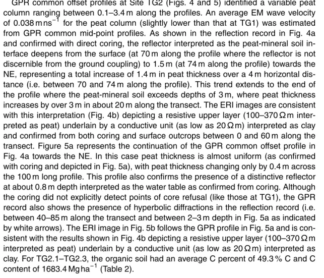 Fig. 4a towards the NE. In this case peat thickness is almost uniform (as confirmed with coring and depicted in Fig