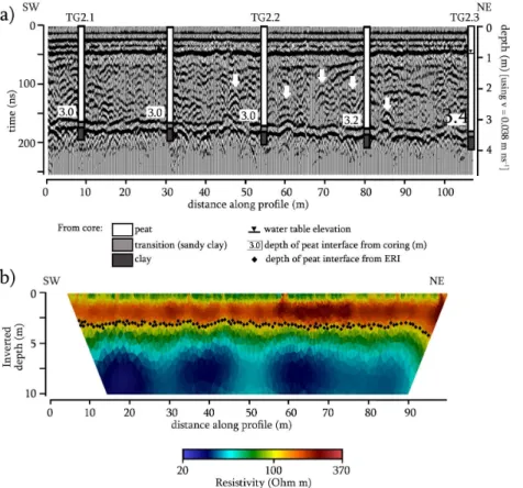 Figure 5. (a) GPR common-o ﬀ set profile using a Mala GPR system with 100 MHz antennae at study Site TG2
