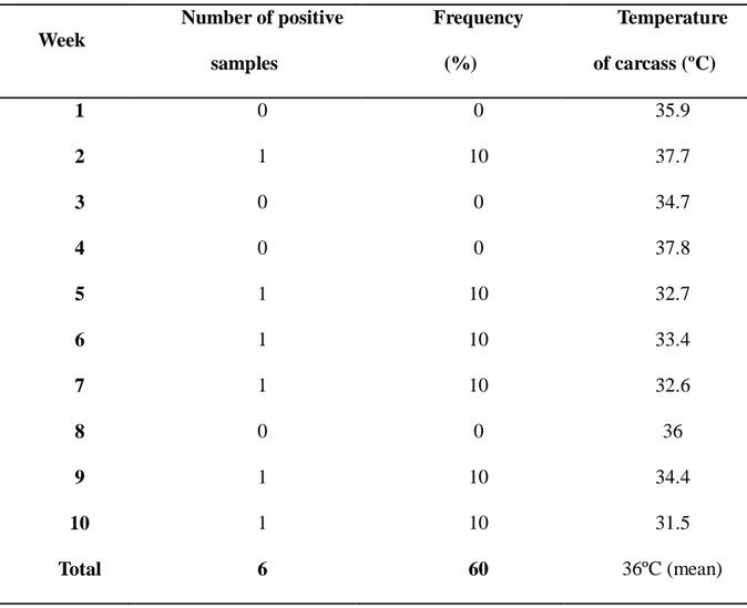 Table  7  provides  results  for  positive  samples  of  Salmonella  during  the  whole  assay