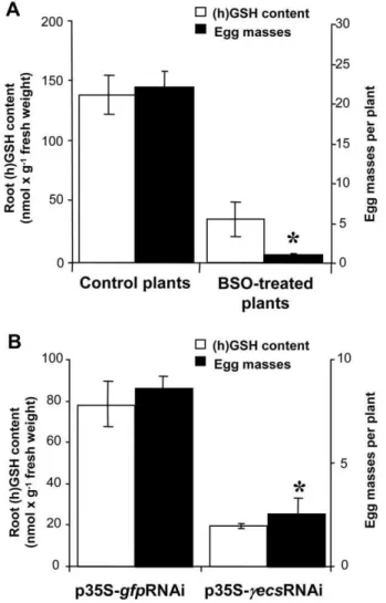 Figure 3. Quantification of (h)GSH and egg mass production in (h)GSH-depleted plants. (h)GSH and egg mass production were quantified in BSO-treated (A) and cECS-RNAi (B)