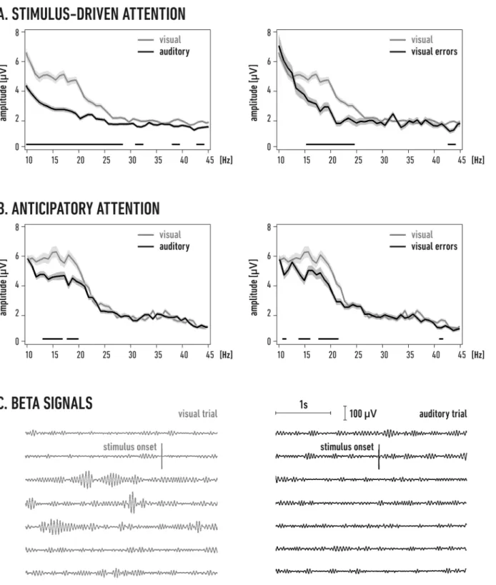 Fig 2. Beta activity increases in the primary visual cortex during attention trials. A