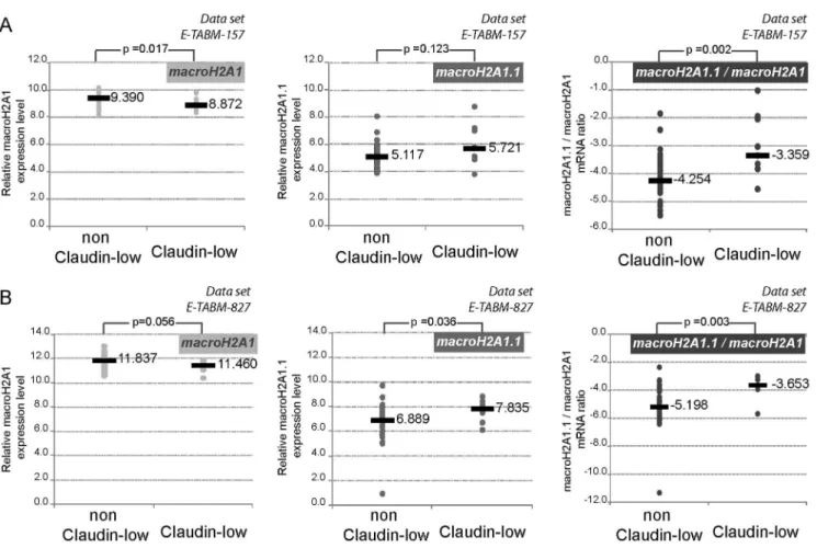 Figure 2. High macroH2A1.1 expression level in breast cancer cell lines characterizes Claudin-low molecular subtype