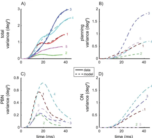 Fig 2. Variance trajectories under control conditions. A) Solid: measured variance of eye position during saccades with 10 deg motor error