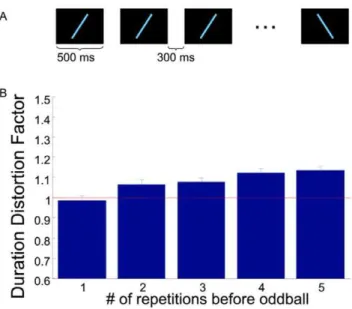 Figure 1. The size of the oddball effect depends on the number of repetitions of standard stimulus