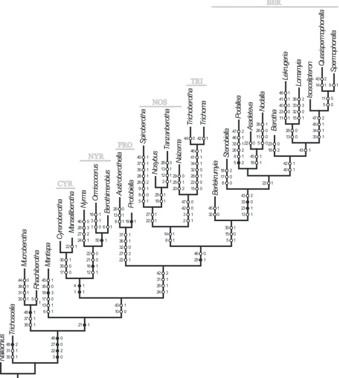 Figure 56. Preferred tree of 20 most parsimonious trees produced by exhaustive search under equal weights with unambiguous char- char-acter optimization (209 steps, CI = 0.34, RI = 0.6)