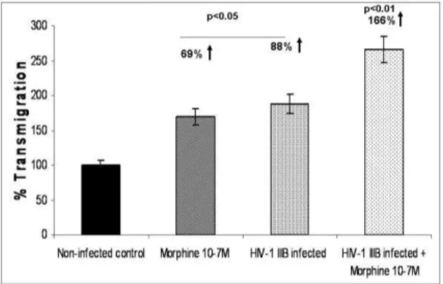 Fig.  1:  Effect  of  opiates  and/or  gp120  on  Transmigration  of  PBMC  across  the  BBB