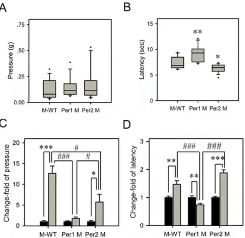 Figure 4F). The Per2 gene expression level was no significant difference between M-WT and Per1 mutant mice under  non-stressed state, however, after immobilization stress the expression level of Per2 was upregulated in Per1 mutant mice (2.61 fold, F = 40.2